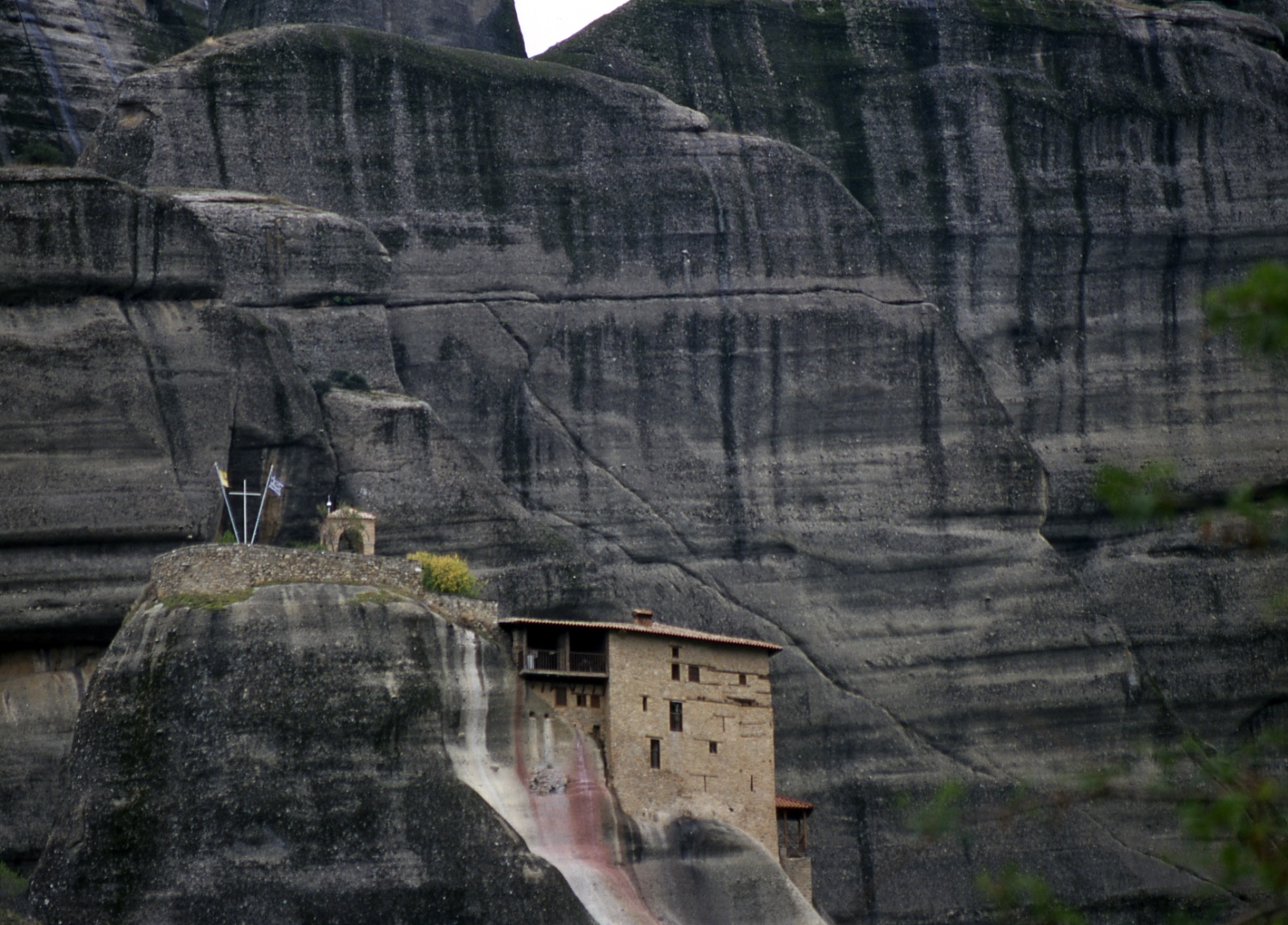 Hanging from the rocks